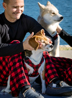 Dog Shoot-0991