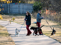 Frisco Dog Shoot-0591