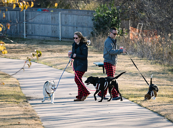 Frisco Dog Shoot-0591