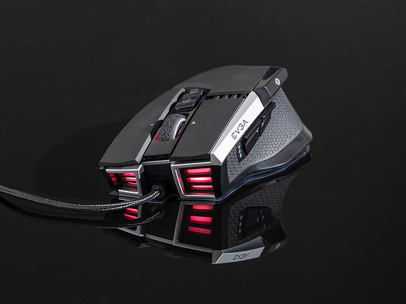 Mouse Back-