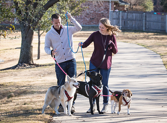 Frisco Dog Shoot-1138