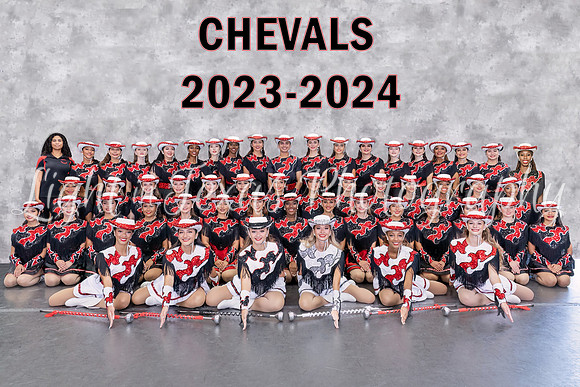 Large Group 8x12 - 6598