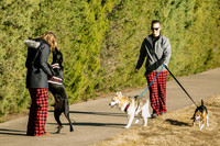 Frisco Dog Shoot-0628