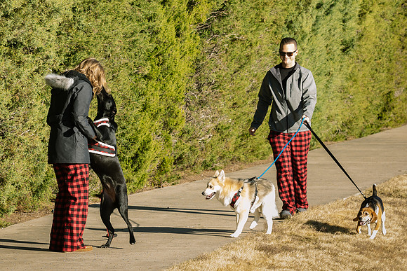 Frisco Dog Shoot-0628