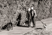 Frisco Dog Shoot-0639
