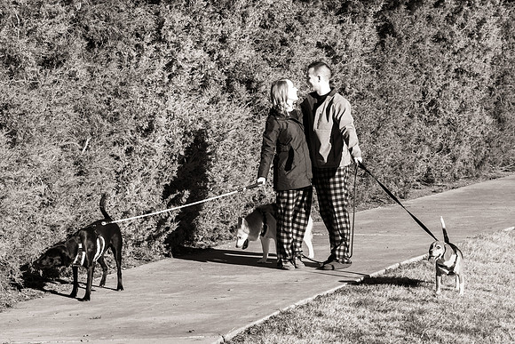 Frisco Dog Shoot-0639