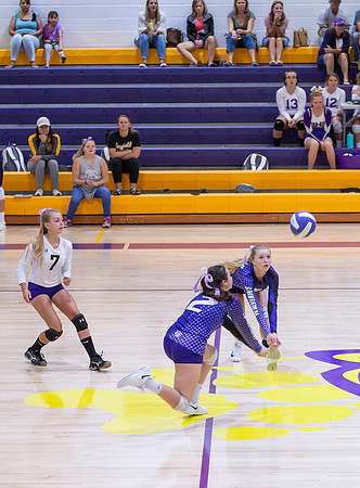 Volleyball Game-1394