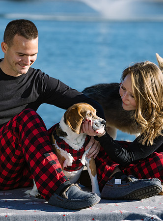 Dog Shoot-0951