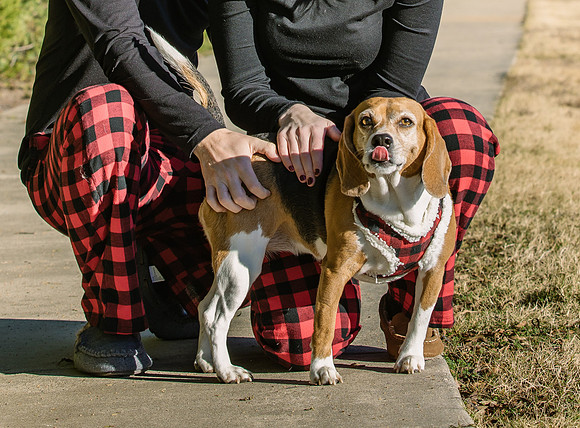 Frisco Dog Shoot-0692