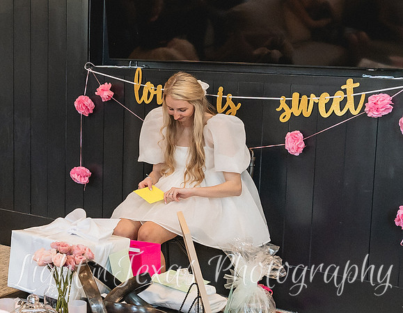 Bridal Shower-4882