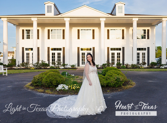 Sydney Bridals-0192