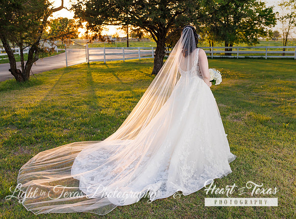 Sydney Bridals-0236