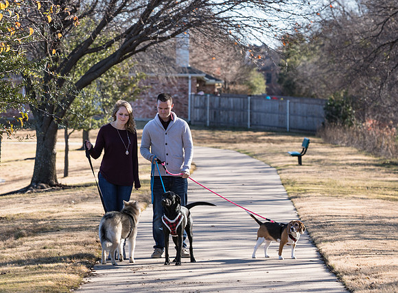 Frisco Dog Shoot-1127