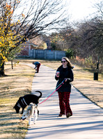 Frisco Dog Shoot-0597