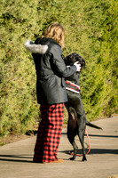 Frisco Dog Shoot-0629