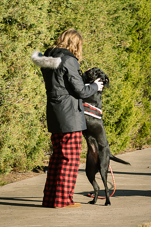 Frisco Dog Shoot-0629