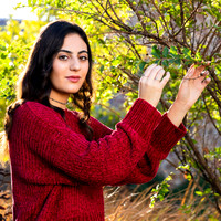 Hannah H-0163
