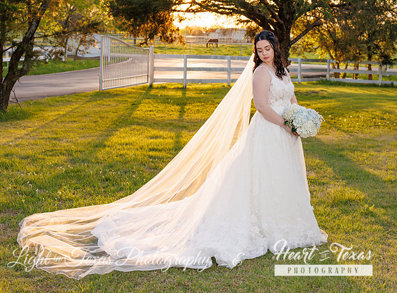 Sydney Bridals-0232