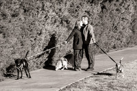 Frisco Dog Shoot-0640