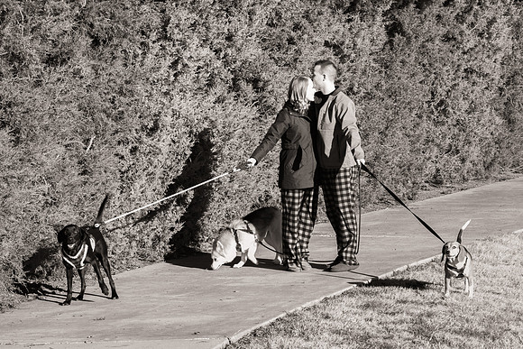 Frisco Dog Shoot-0640