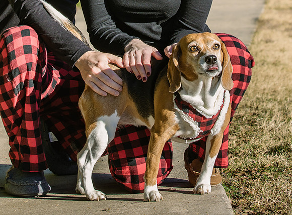 Frisco Dog Shoot-0693